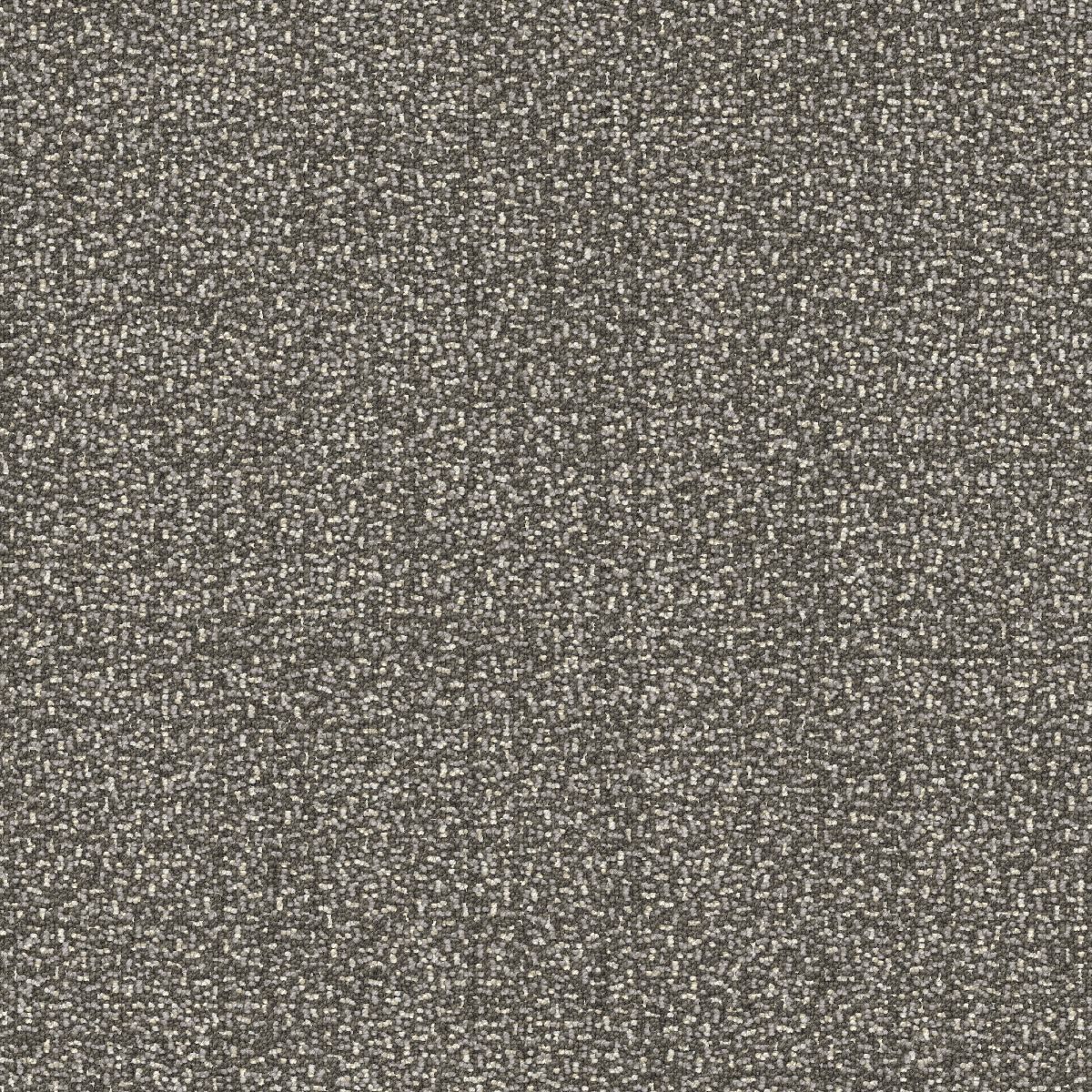 Chronologies - Bentley Mills